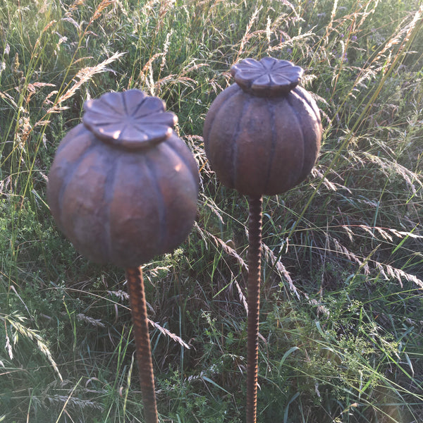 Vallmokapsel - Gjutform 8 cm