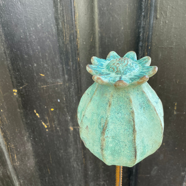 Stor Frökapsel 18 cm - Gjutform