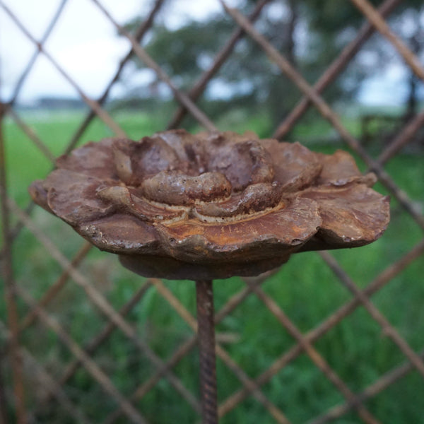Vildros - Gjutform 16 & 19 cm